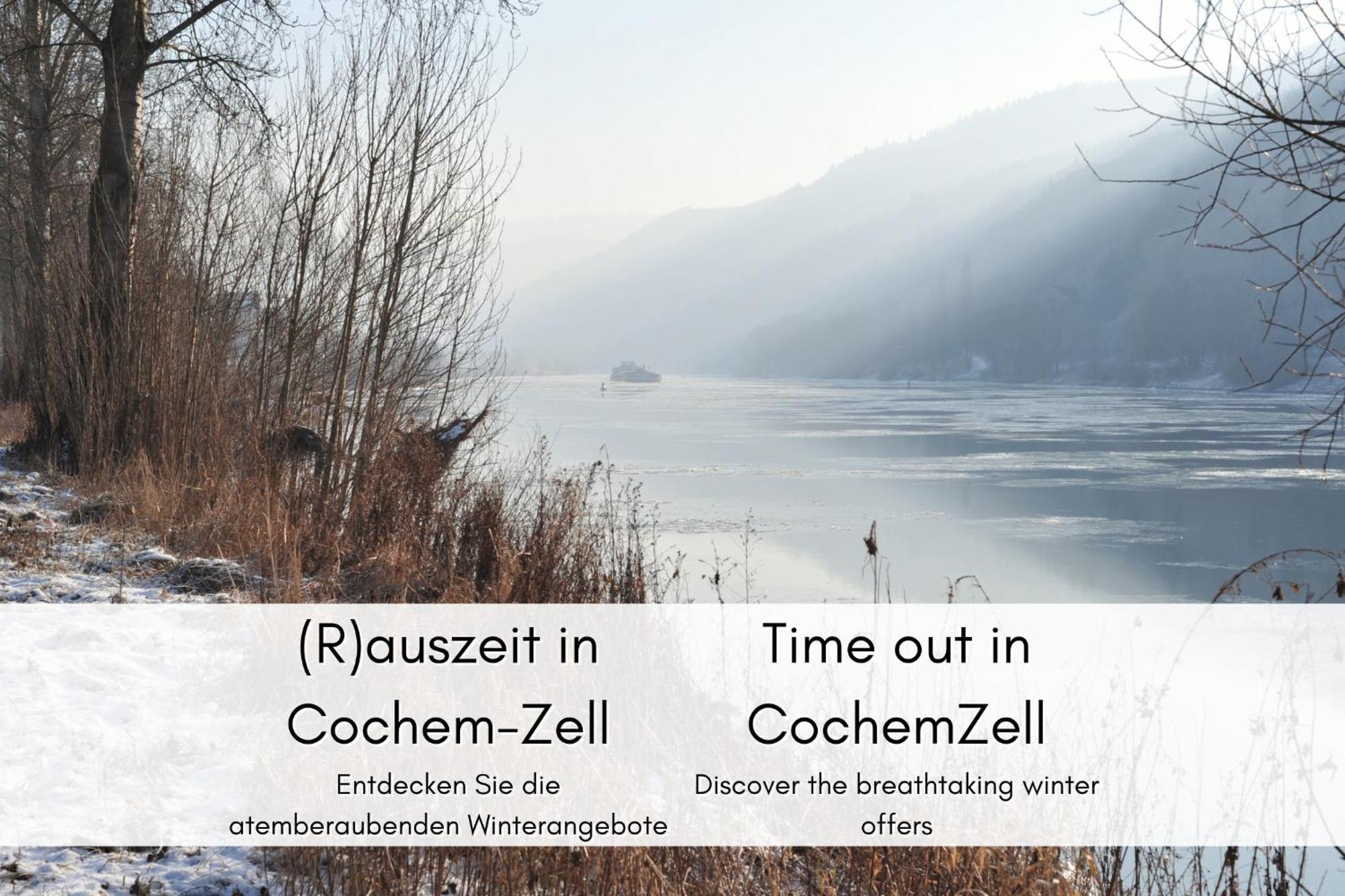 Апартаменты Winzerhaus Am Calmont - Terrasse Der Ruhe Бремм Экстерьер фото